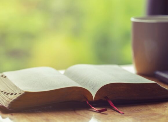 Why should we read the Bible and how should we read it?